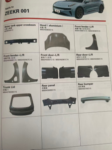 Geometric Galaxy ZEEKR Vehicle And Entire Lineup Accessories.